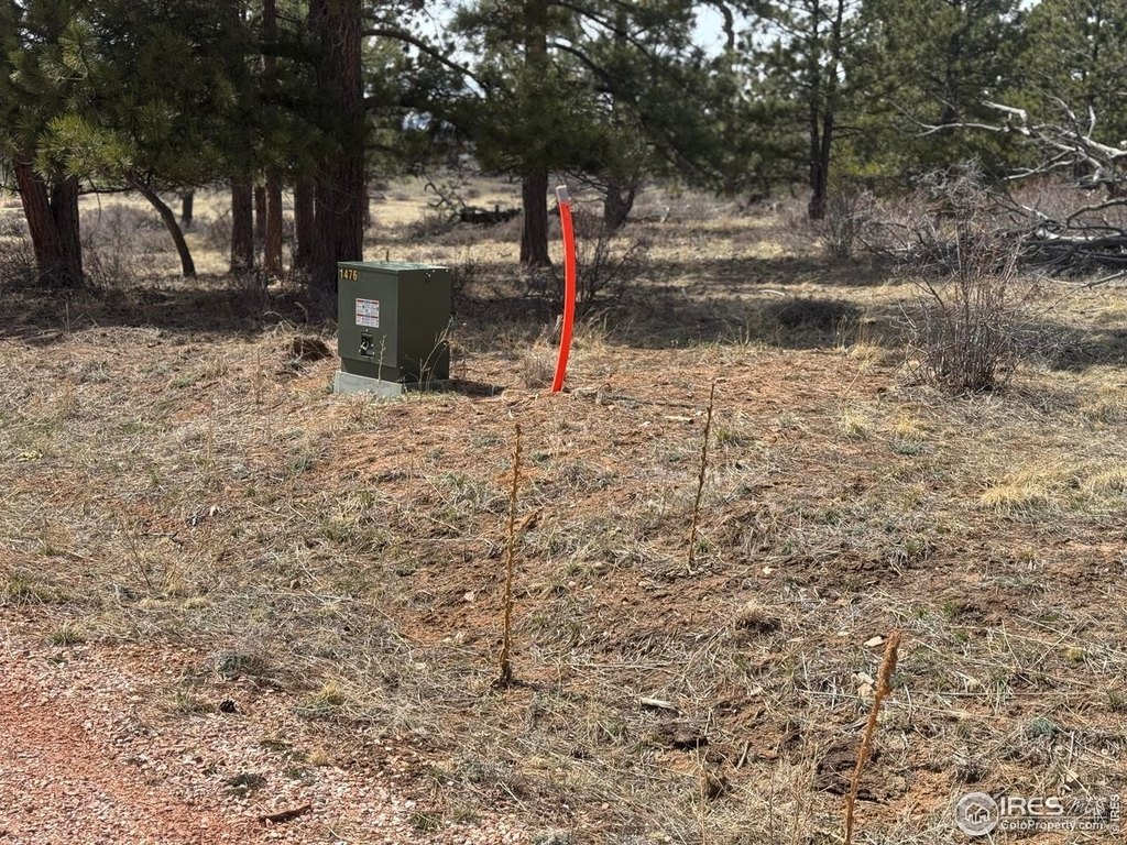 Livermore, Colorado, 80536, United States, ,Land,Forsale,2003985