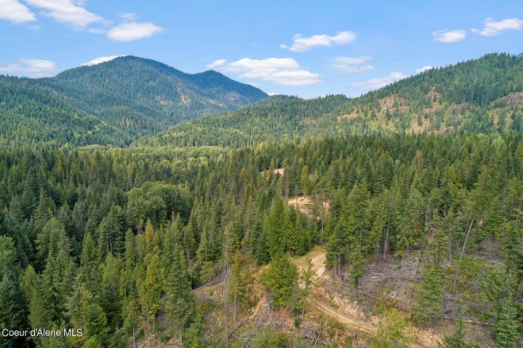 Kingston, Idaho, 83839, United States, ,Land,Forsale,1913910