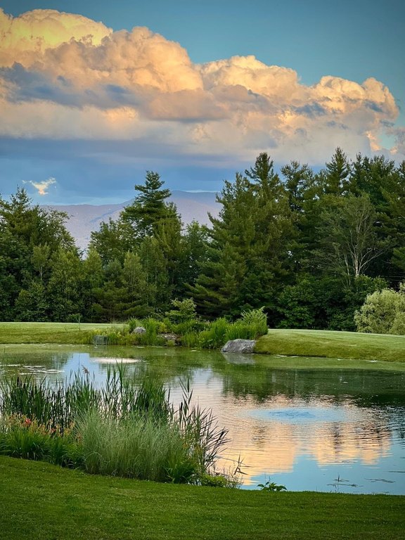 Stowe, Vermont, 05672, United States, ,Commercial,Forsale,1953147