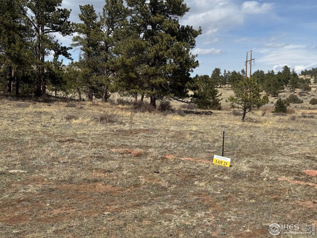 Livermore, Colorado, 80536, United States, ,Land,Forsale,2003985