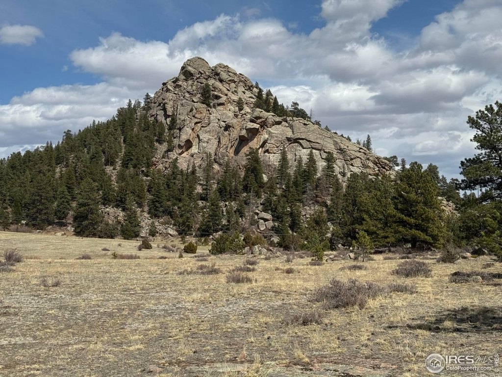 Livermore, Colorado, 80536, United States, ,Land,Forsale,2003985