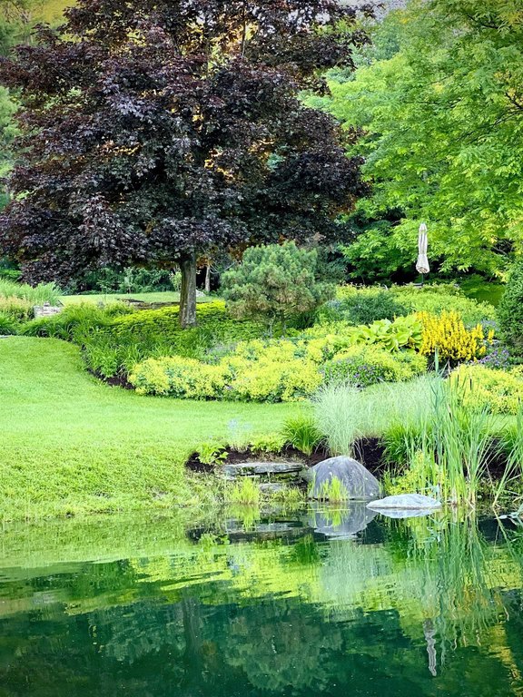 Stowe, Vermont, 05672, United States, ,Commercial,Forsale,1953147
