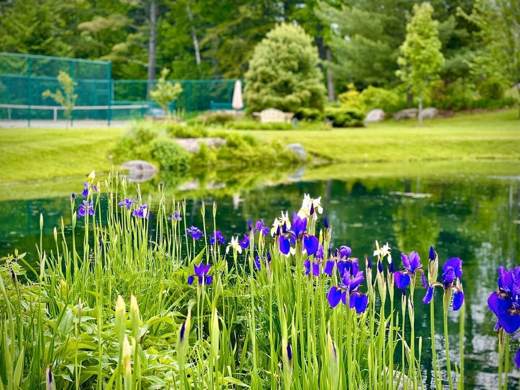 Stowe, Vermont, 05672, United States, ,Commercial,Forsale,1953147