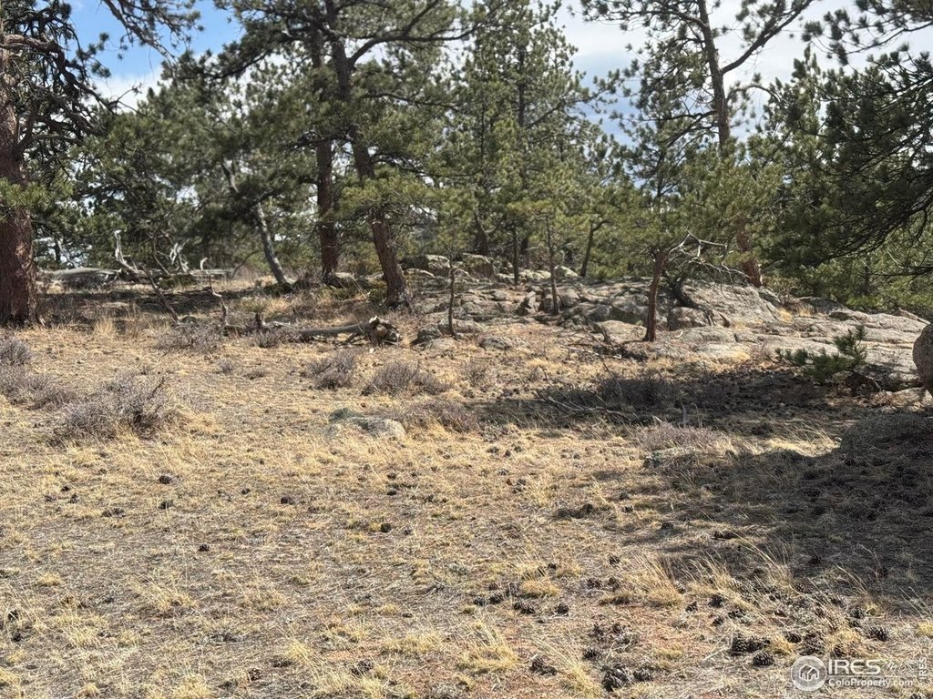 Livermore, Colorado, 80536, United States, ,Land,Forsale,2003985