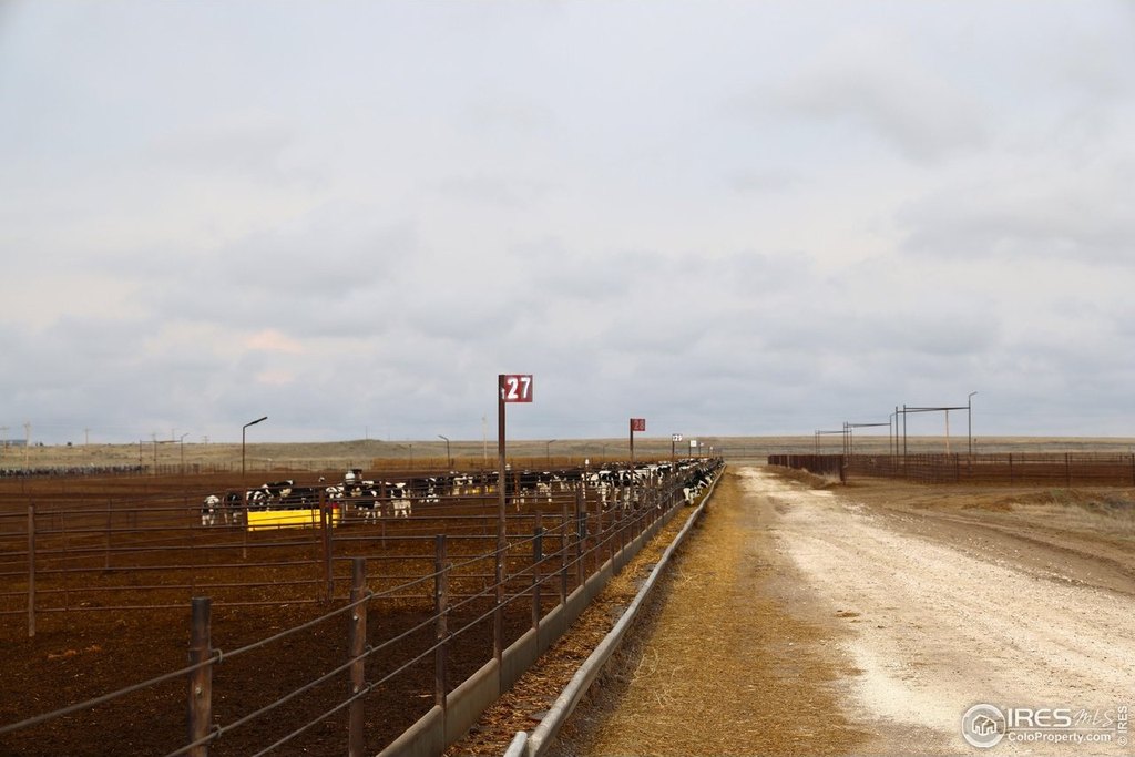 Merino, Colorado, 80741, United States, ,Residential,Forsale,1886112