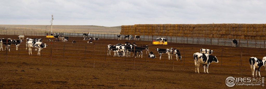 Merino, Colorado, 80741, United States, ,Residential,Forsale,1886112