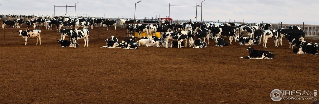 Merino, Colorado, 80741, United States, ,Residential,Forsale,1886112