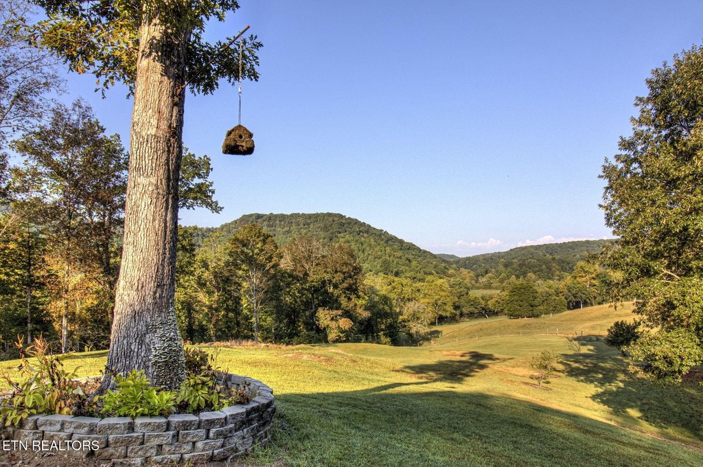 Tellico Plains, Tennessee, 37385, United States, 3 Bedrooms Bedrooms, ,2 BathroomsBathrooms,Residential,Forsale,1942431