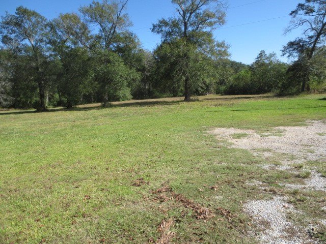 Willis, Texas, 77378, United States, ,Land,Forsale,1889061