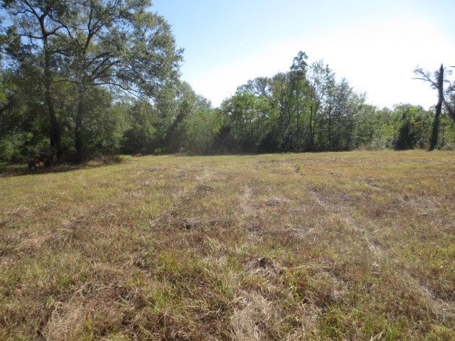 Willis, Texas, 77378, United States, ,Land,Forsale,1889061