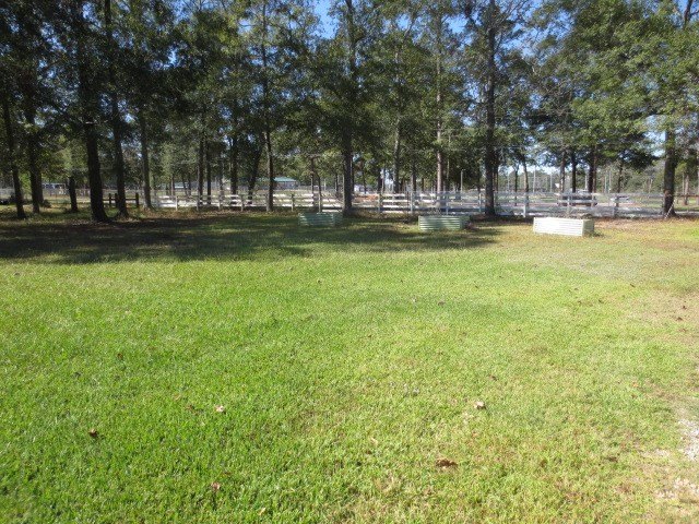 Willis, Texas, 77378, United States, ,Land,Forsale,1889061