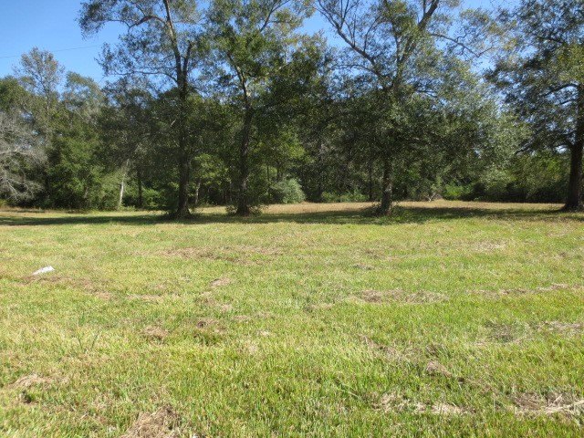 Willis, Texas, 77378, United States, ,Land,Forsale,1889061