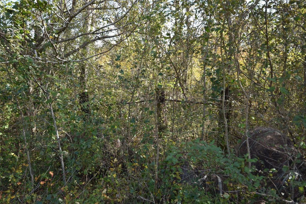 Wharton, Texas, 77488, United States, ,Land,Forsale,1934867