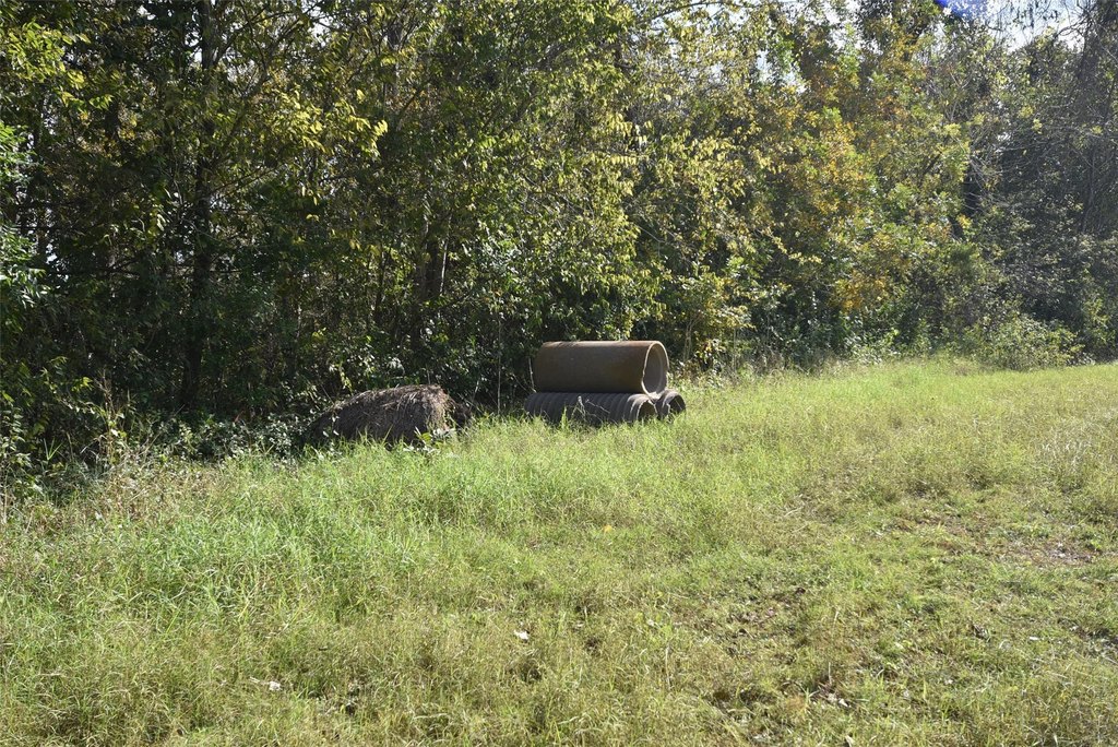 Wharton, Texas, 77488, United States, ,Land,Forsale,1934867