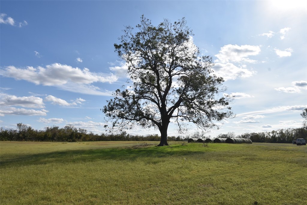 Wharton, Texas, 77488, United States, ,Land,Forsale,1934867
