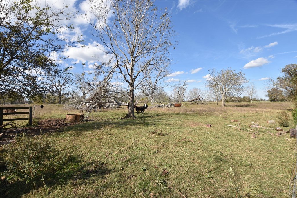 Wharton, Texas, 77488, United States, ,Land,Forsale,1934867