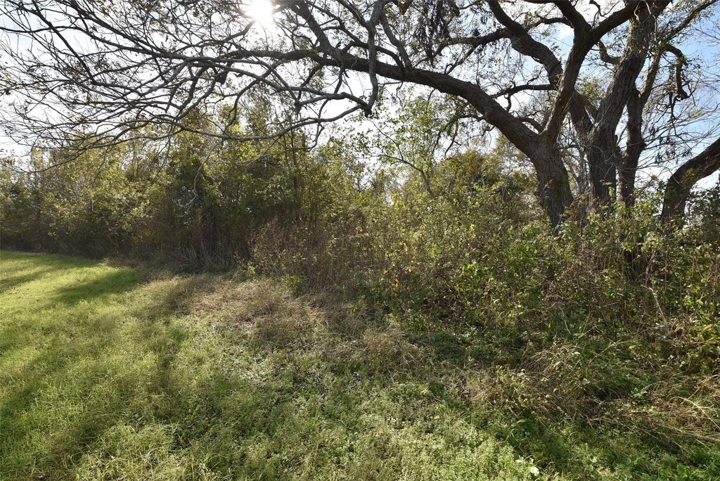 Wharton, Texas, 77488, United States, ,Land,Forsale,1934867