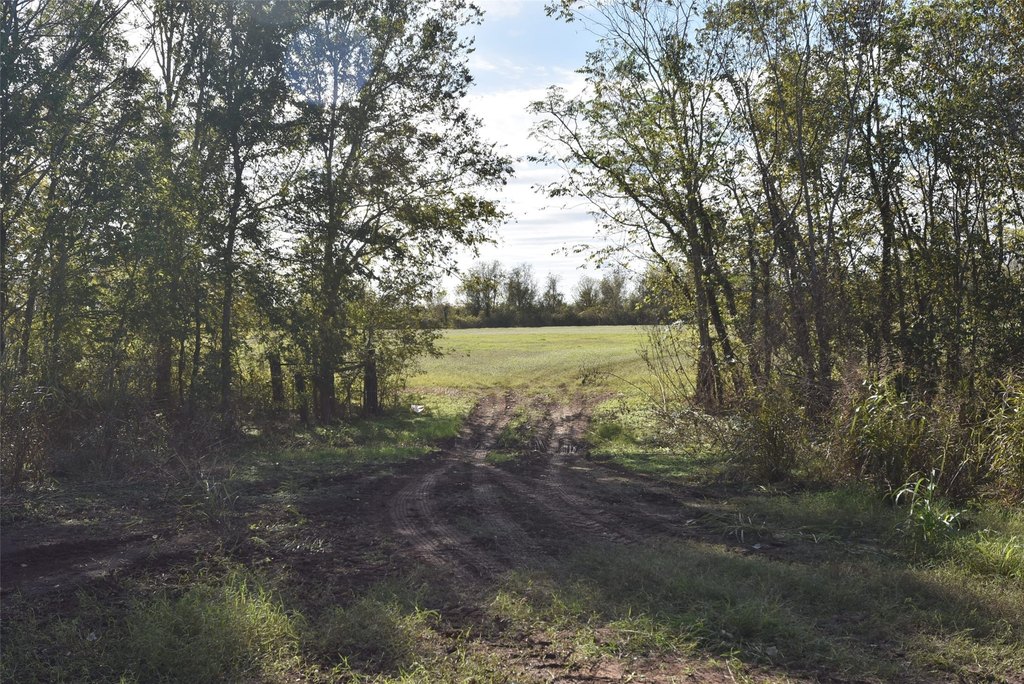 Wharton, Texas, 77488, United States, ,Land,Forsale,1934867