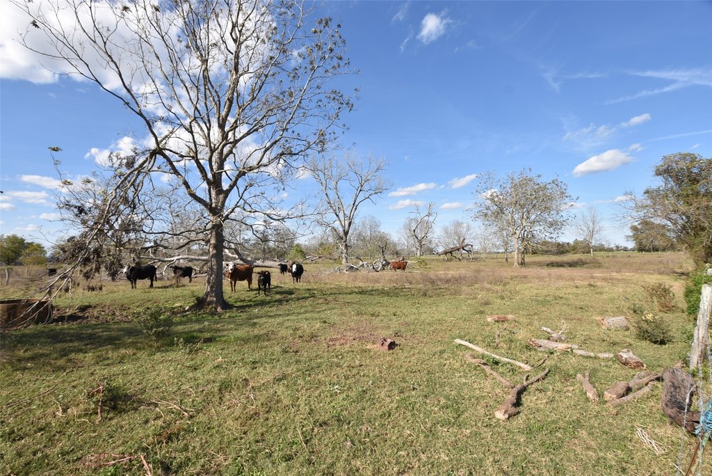 Wharton, Texas, 77488, United States, ,Land,Forsale,1934867