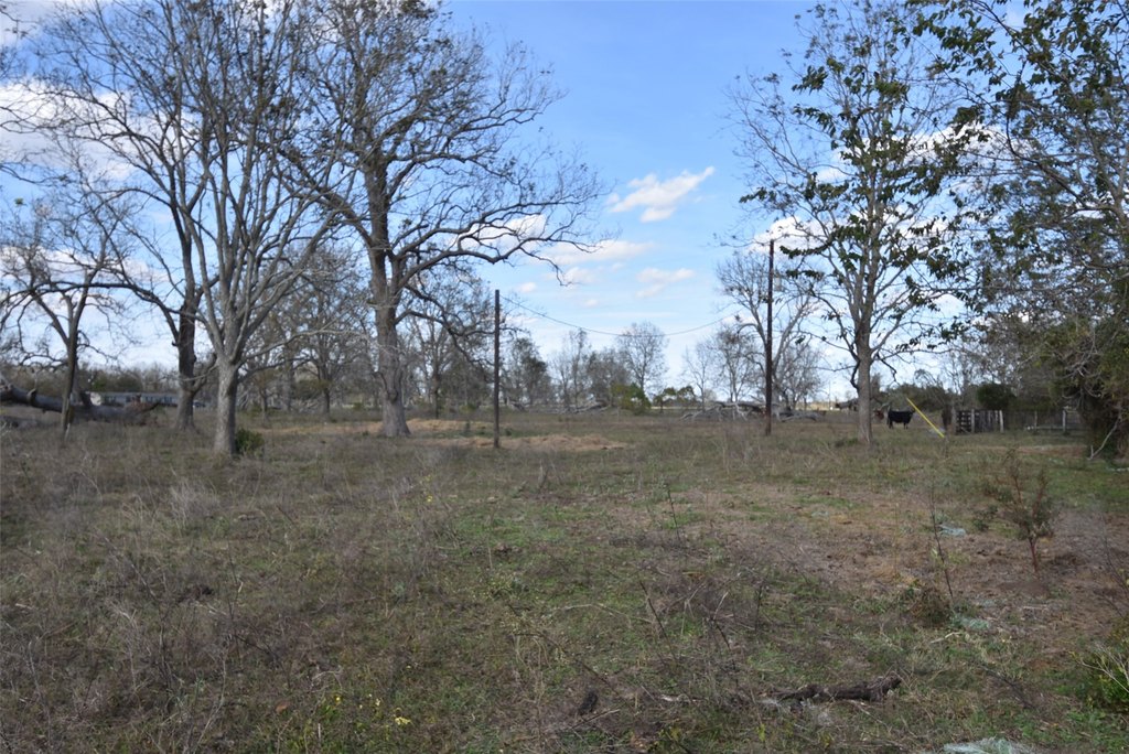 Wharton, Texas, 77488, United States, ,Land,Forsale,1934867