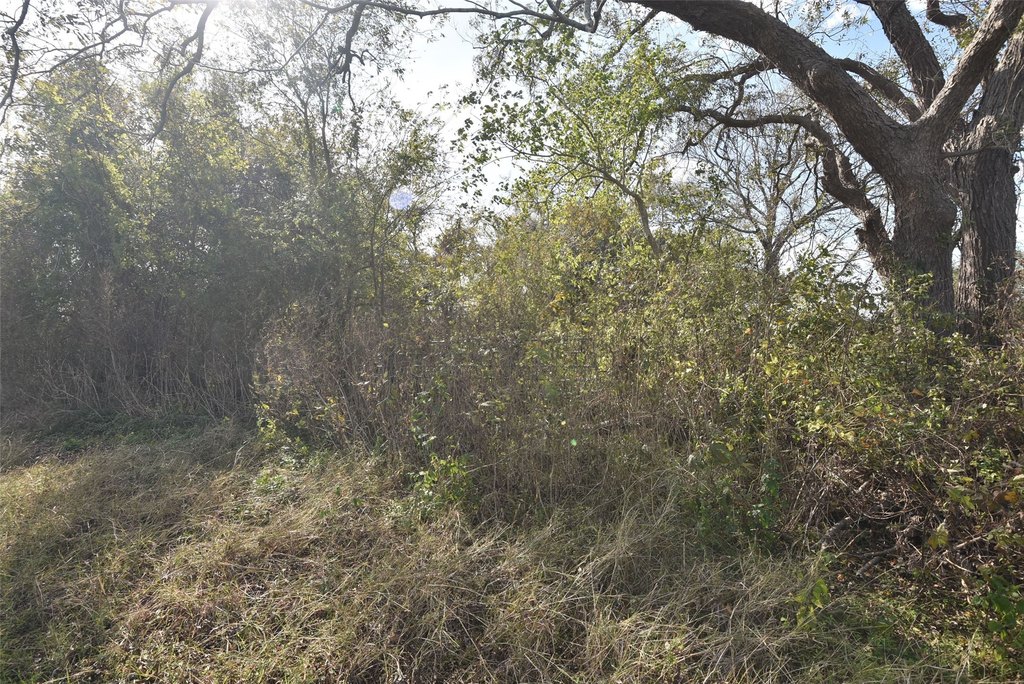 Wharton, Texas, 77488, United States, ,Land,Forsale,1934867
