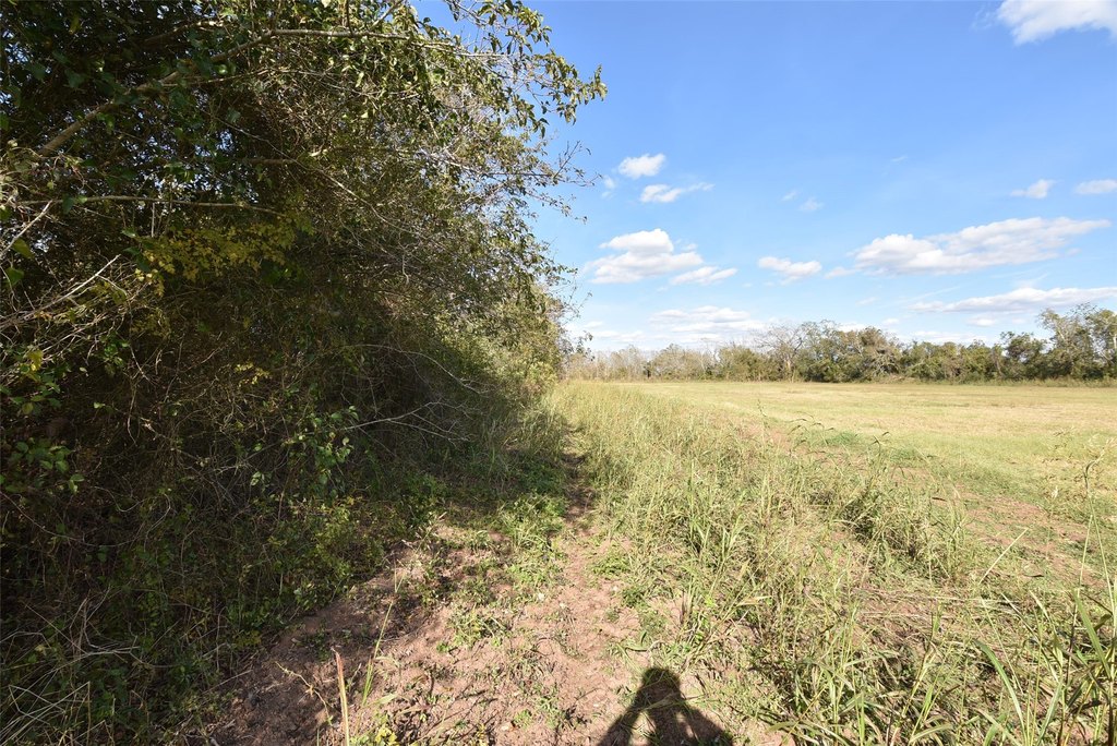 Wharton, Texas, 77488, United States, ,Land,Forsale,1934867