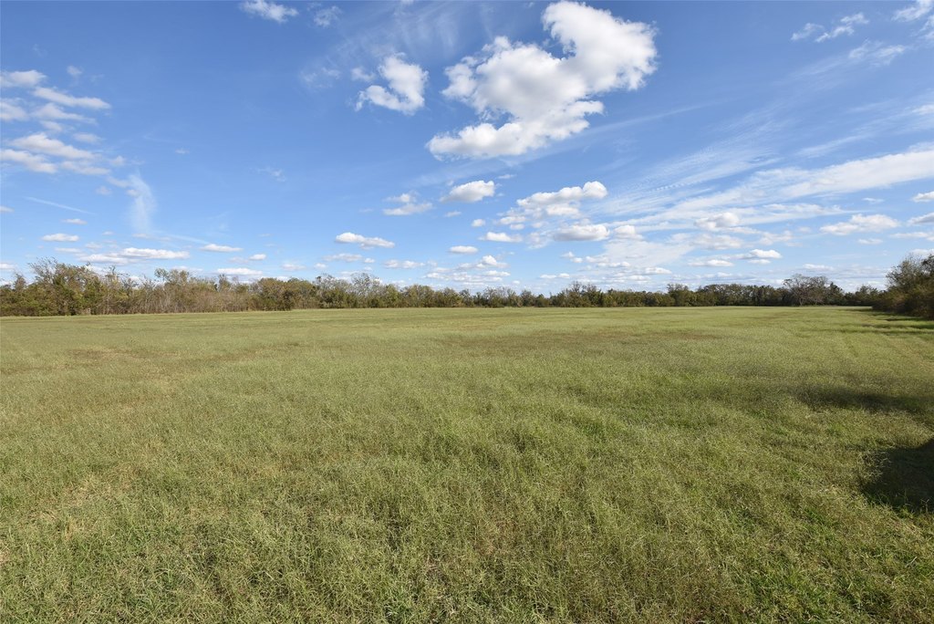 Wharton, Texas, 77488, United States, ,Land,Forsale,1934867