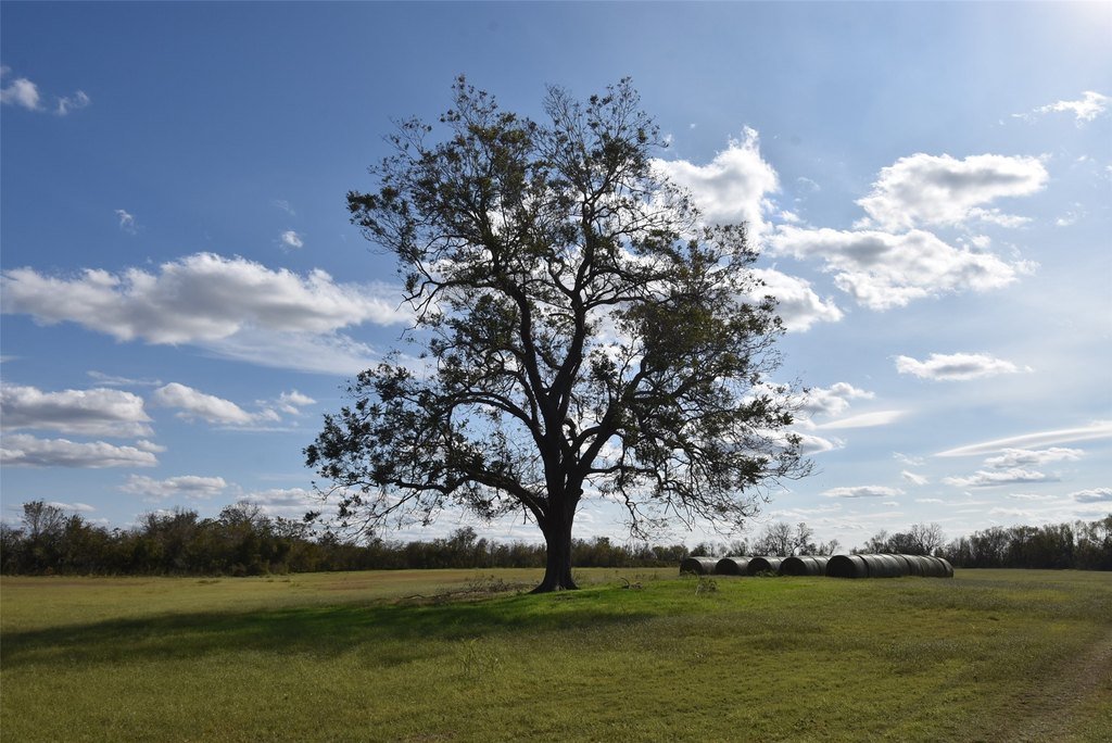 Wharton, Texas, 77488, United States, ,Land,Forsale,1934867