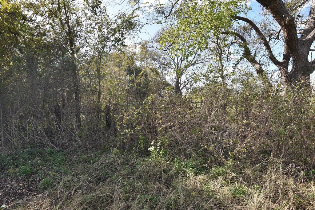 Wharton, Texas, 77488, United States, ,Land,Forsale,1934867