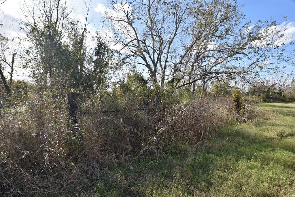 Wharton, Texas, 77488, United States, ,Land,Forsale,1934867
