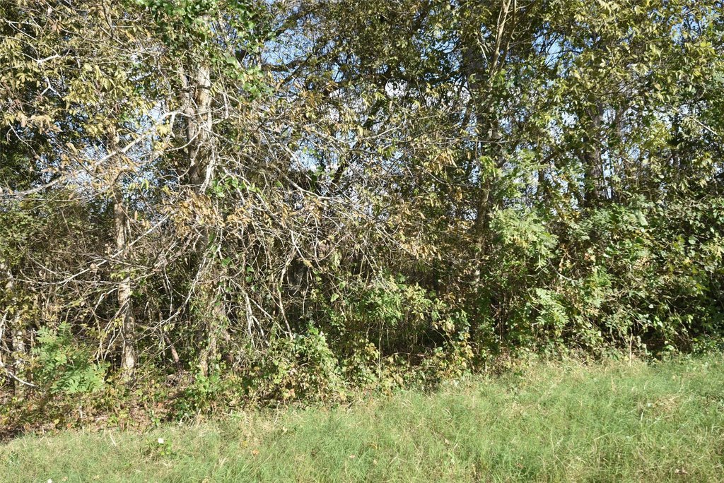 Wharton, Texas, 77488, United States, ,Land,Forsale,1934867