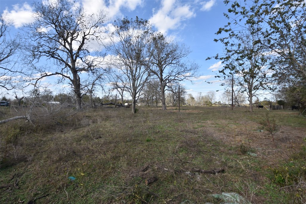 Wharton, Texas, 77488, United States, ,Land,Forsale,1934867