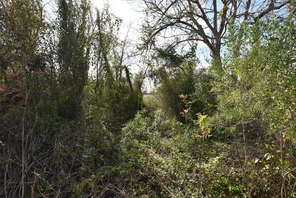 Wharton, Texas, 77488, United States, ,Land,Forsale,1934867