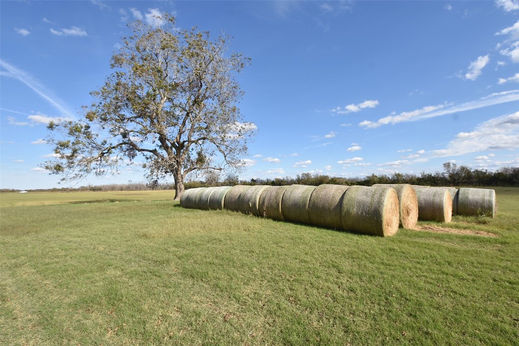 Wharton, Texas, 77488, United States, ,Land,Forsale,1934867