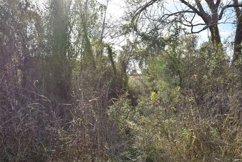 Wharton, Texas, 77488, United States, ,Land,Forsale,1934867
