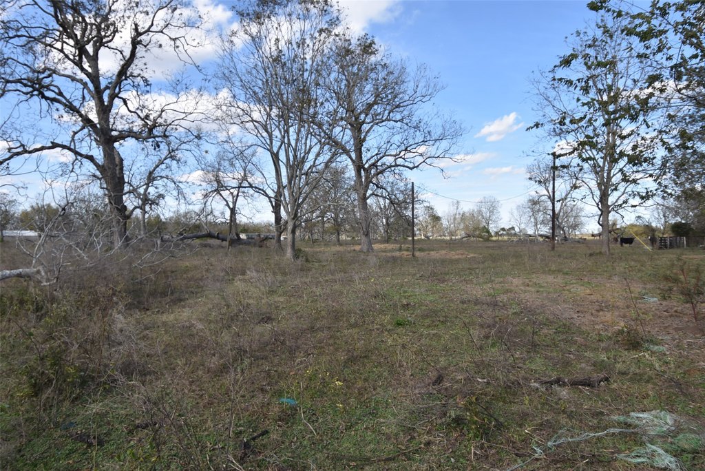 Wharton, Texas, 77488, United States, ,Land,Forsale,1934867