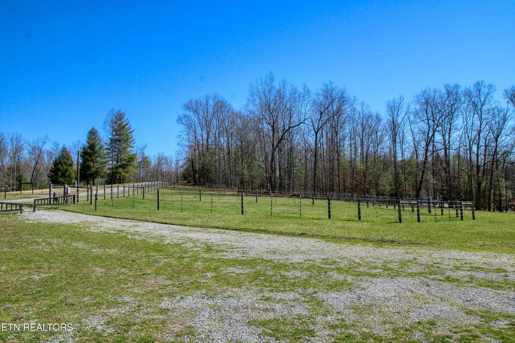 Allardt, Tennessee, 38504, United States, 1 Bedroom Bedrooms, ,1 BathroomBathrooms,Residential,Forsale,1905423