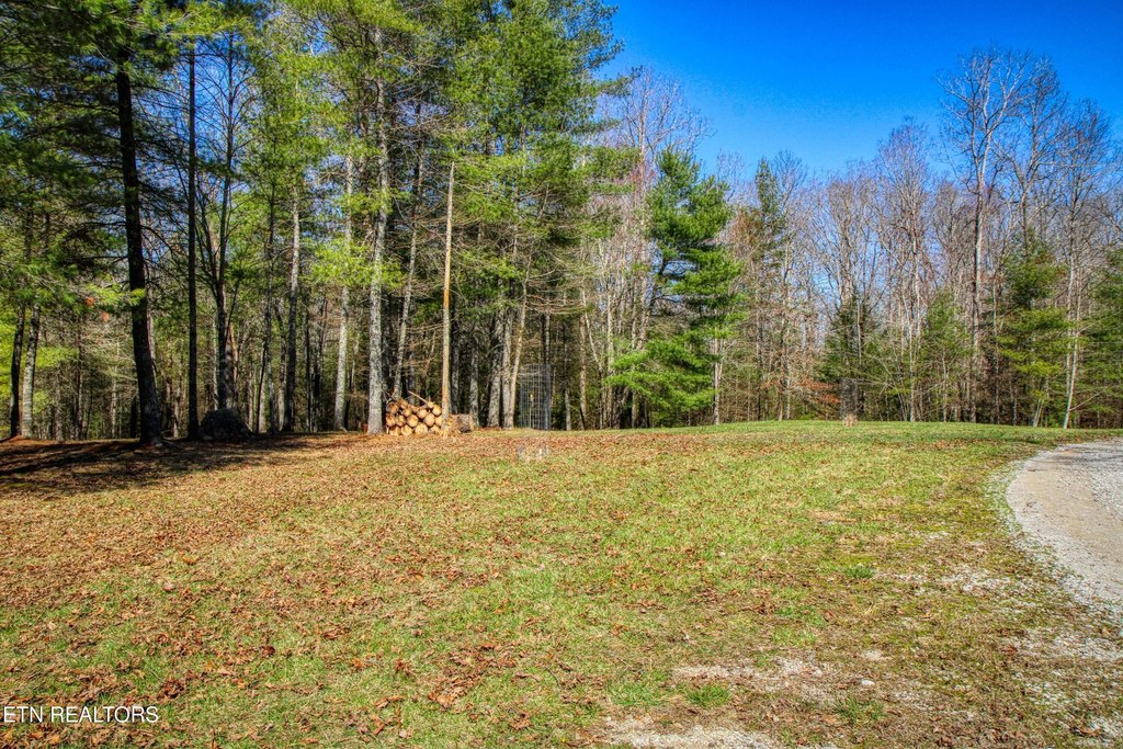 Allardt, Tennessee, 38504, United States, 1 Bedroom Bedrooms, ,1 BathroomBathrooms,Residential,Forsale,1905423