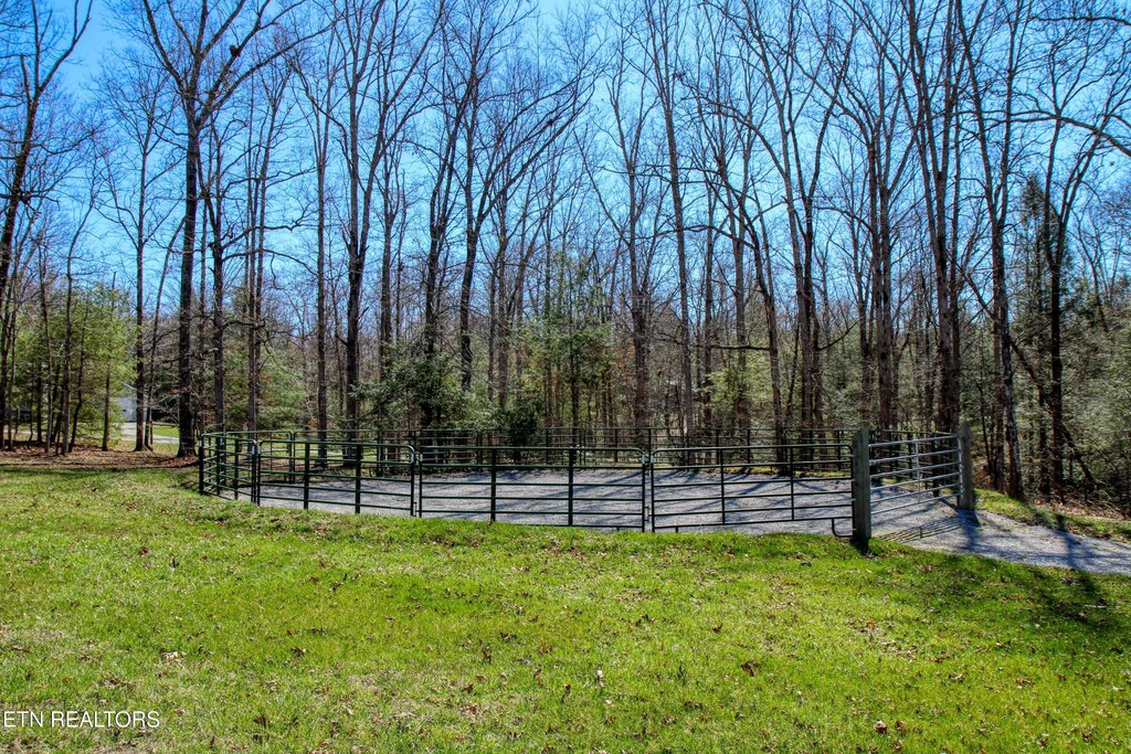 Allardt, Tennessee, 38504, United States, 1 Bedroom Bedrooms, ,1 BathroomBathrooms,Residential,Forsale,1905423