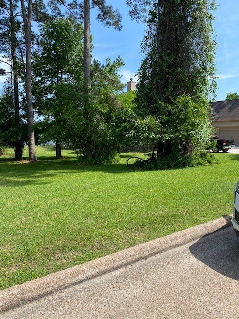 Montgomery, Texas, 77356, United States, ,Land,Forsale,1953051