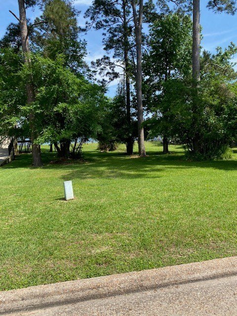 Montgomery, Texas, 77356, United States, ,Land,Forsale,1953051