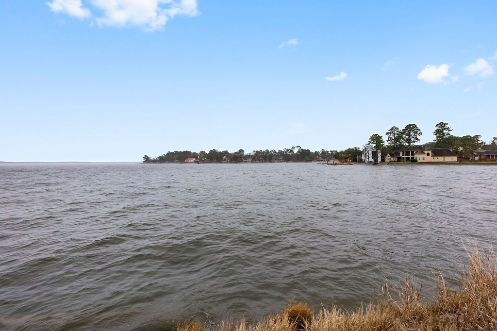 Montgomery, Texas, 77356, United States, ,Land,Forsale,1953051
