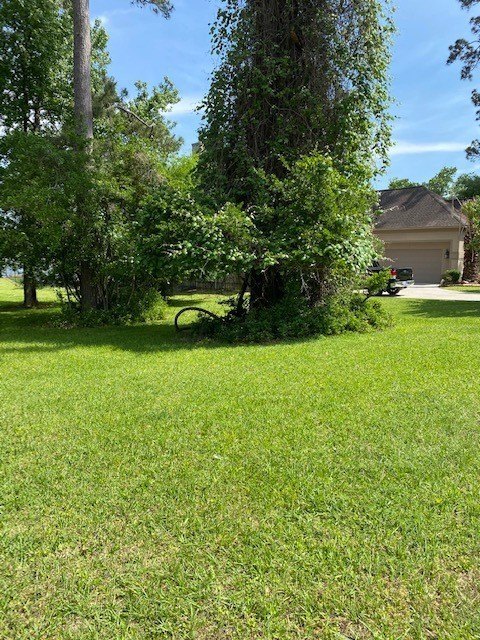 Montgomery, Texas, 77356, United States, ,Land,Forsale,1953051