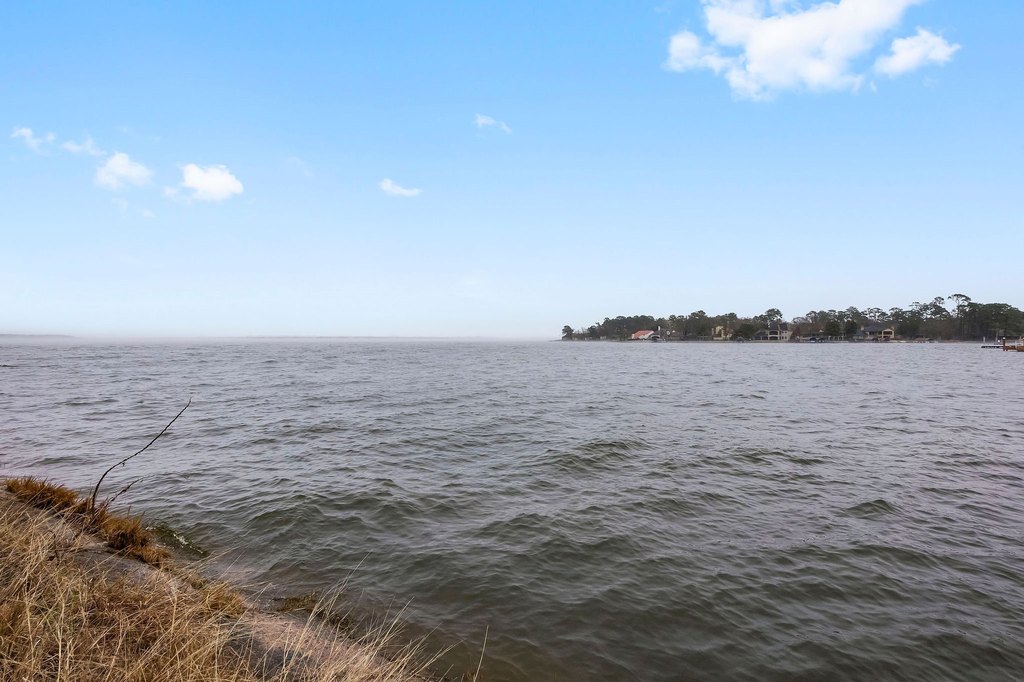 Montgomery, Texas, 77356, United States, ,Land,Forsale,1953051