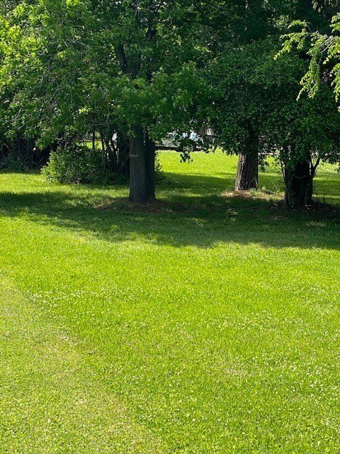 Montgomery, Texas, 77356, United States, ,Land,Forsale,1953051