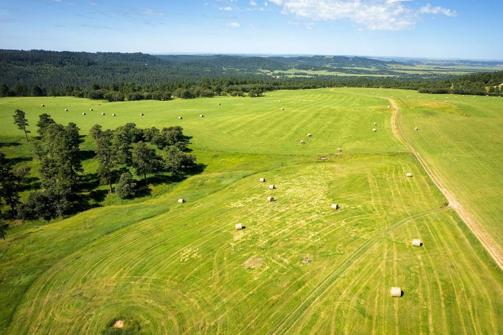 Hulett, Wyoming, 82720, United States, 3 Bedrooms Bedrooms, ,2 BathroomsBathrooms,Residential,Forsale,2004328