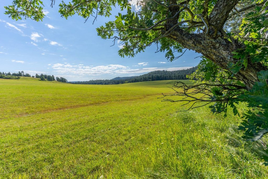 Hulett, Wyoming, 82720, United States, 3 Bedrooms Bedrooms, ,2 BathroomsBathrooms,Residential,Forsale,2004328