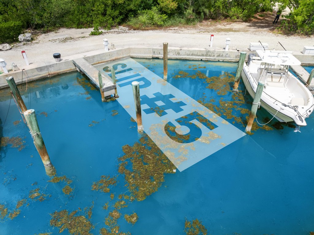 MARATHON, Florida, 33050, United States, ,Land,Forsale,1903977