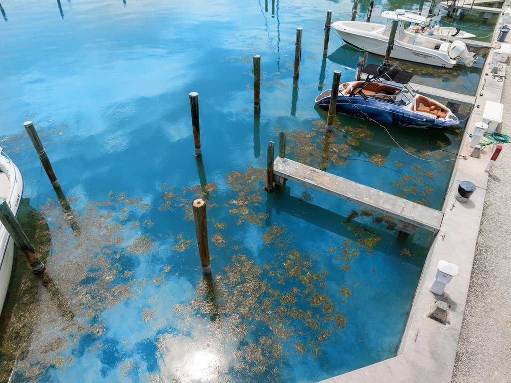 MARATHON, Florida, 33050, United States, ,Land,Forsale,1903977