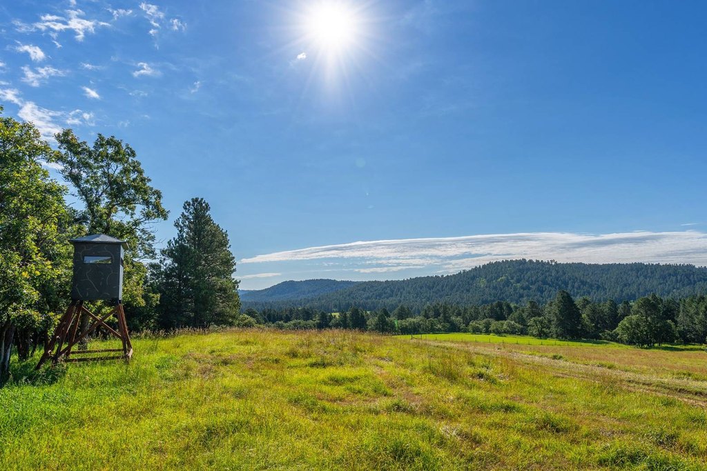 Hulett, Wyoming, 82720, United States, 3 Bedrooms Bedrooms, ,2 BathroomsBathrooms,Residential,Forsale,2004328